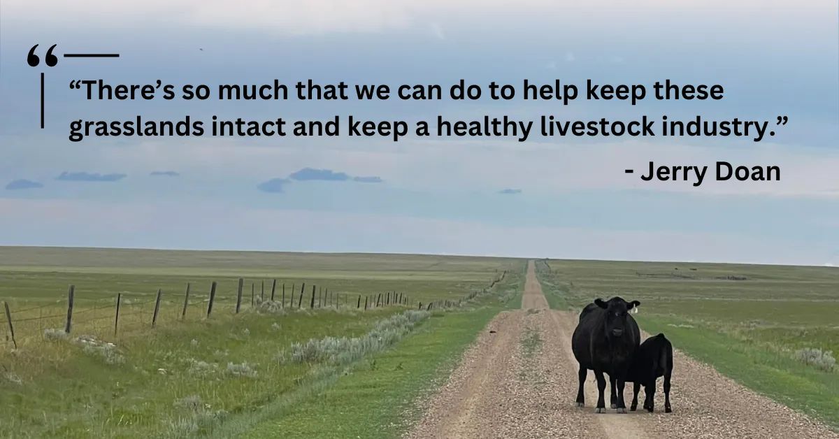 A Grassland Conservation Chat with Jerry Doan